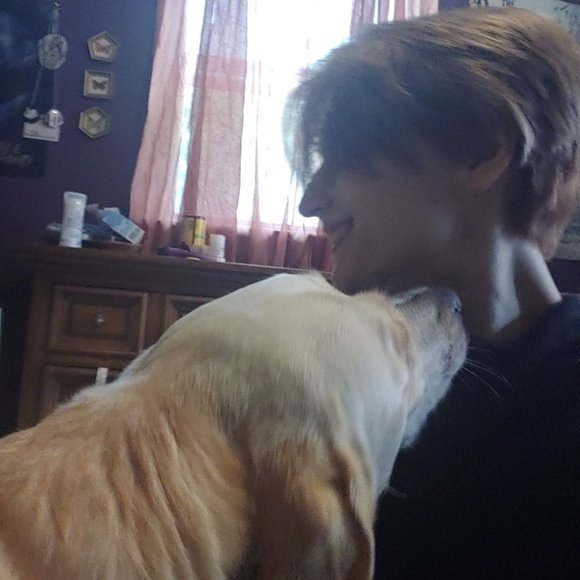 Meet your Posher, Bronwyn - Picture 1 of 1